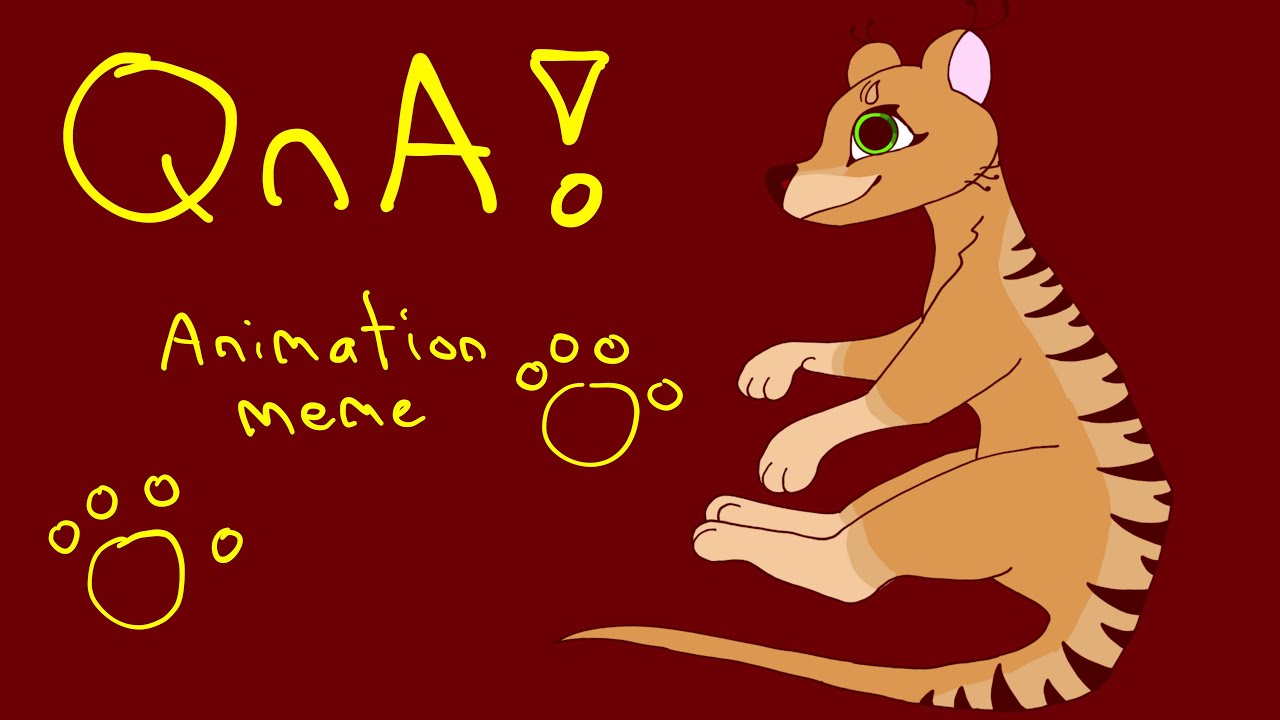 QnA Animation Meme! Learn more about me! // Thylacine Animations