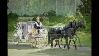 Красивые кареты для лошадей/Beautiful carriages for horses