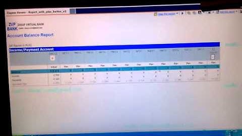 Cognos report with excell "plus" button