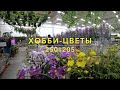 250#205 / Хобби Цветы / 10.2020 — Флоревиль. ЧАСТЬ 2