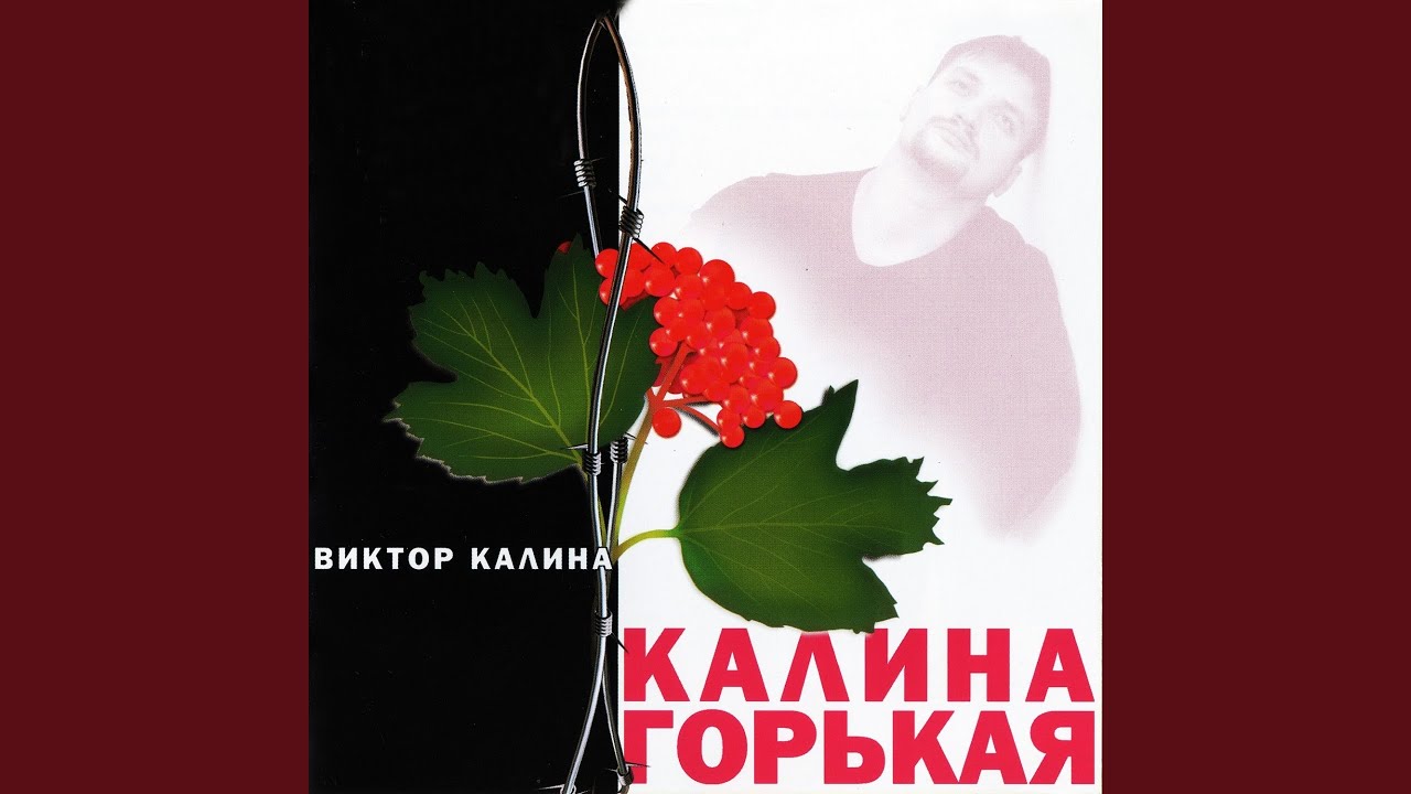 Горькая калина минус