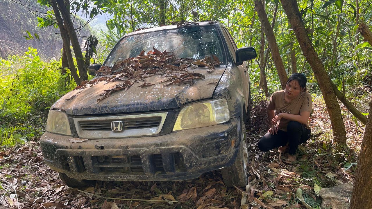 Restarting a classic car after 30 years - Starting and cleaning up a 30-year-old Honda CRV
