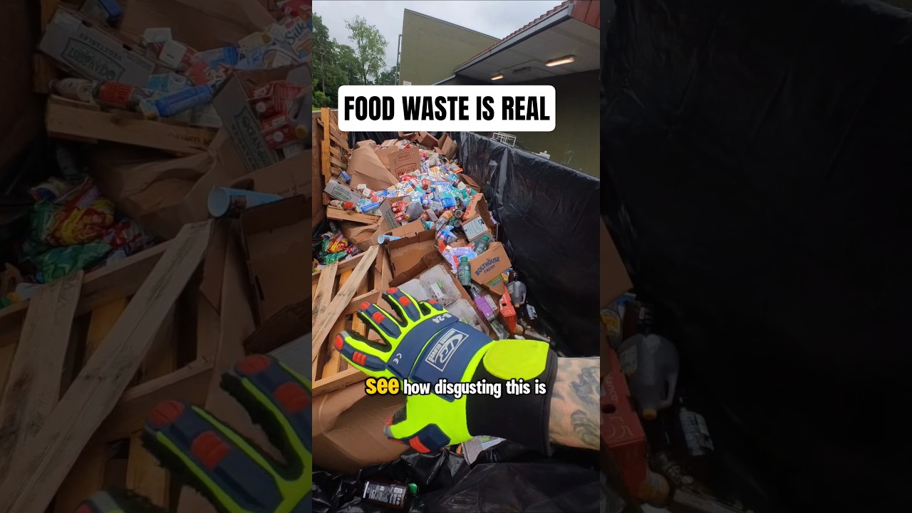Dumpster diving! Food waste in America is disgusting 🇺🇸.  