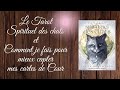 Le tarot spirituel des chats et comment je fais pour mieux mapproprier les cartes de cour