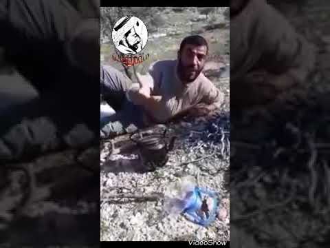 وين كنت ياكيفي براد الشاي 