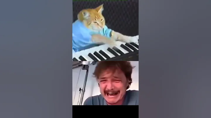 R.I.P Original Keyboard Cat 1978-1987