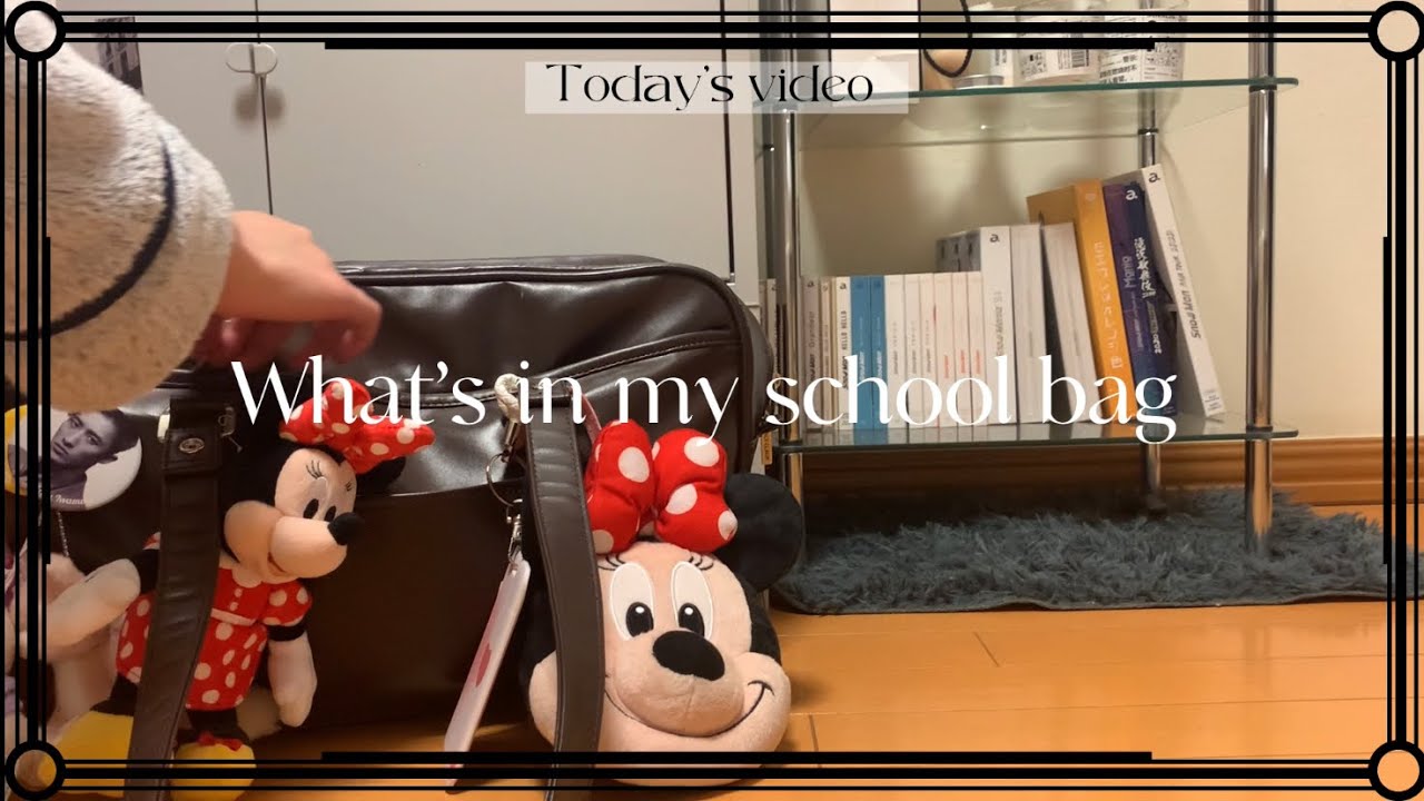 JPN)What’s in my school bag🛍️/高校2年生のスクバの中身/