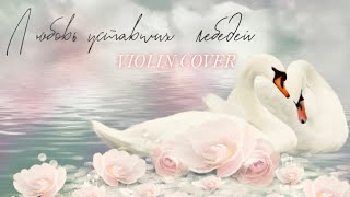 The Love of tired swans violin cover • Violinista en Acapulco