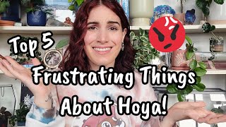 5 FRUSTRATING Things About Growing HOYA! 😬 pests, slow growth & more!! Hoya Plant Care 🌿✨️