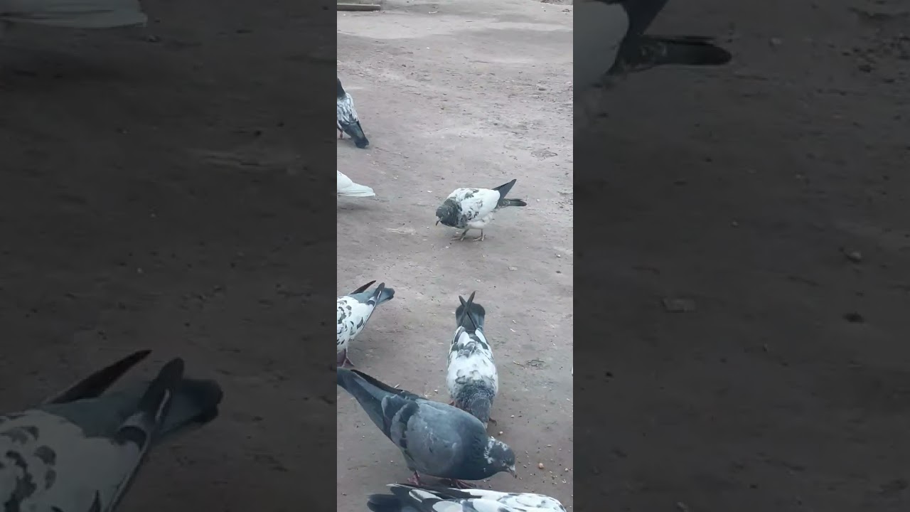 4 декабря 2025 г.