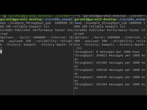 GurumDDS Throughput Example