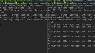 GurumDDS Throughput Example