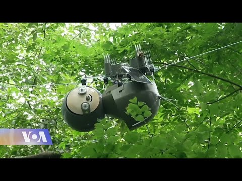 ყველაზე ნელი რობოტი - ატლანტის ბოტანიკურ ბაღში