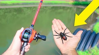 Fishing w/ SPIDERS in HIDDEN Swamp (Does it work?) 