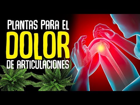 q sirve para el dolor en las articulaciones q sirve para el dolor en las articulaciones