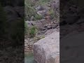 من بقي يبقى ومن وده يفارقنا يفارق اكسبلور دويتو  
