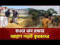 হাওরে সরকারিভাবে ধান সংগ্রহ শুরু | Sunamganj | Flood | Farmers | Ekattor TV