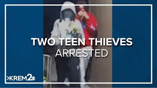 Spokane task force arrests 2 teens for involvement in string of Kia/Hyundai and Ring camera thefts
