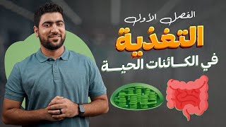 6- الامتصاص | ختام التغذية في الإنسان | أحياء تانية ثانوي ✨✅