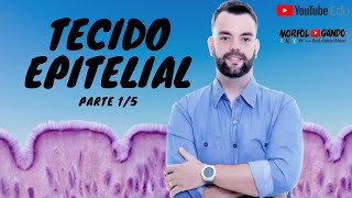 Tecido Epitelial: Parte 1/5 - Generalidades do Tecido; Lâmina e Membrana Basal