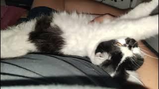 document 6082338998750025636