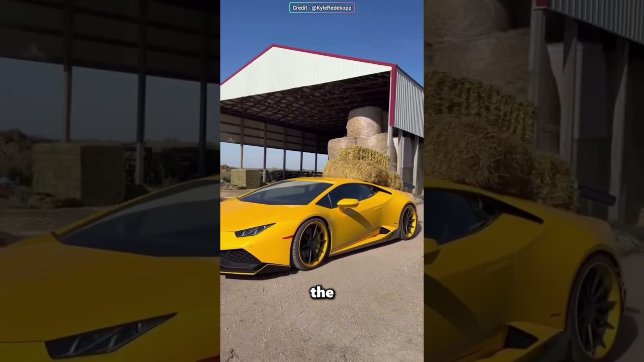 Этот мужчина использует свой роскошный автомобиль, чтобы кормить животных 😱