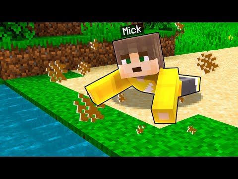 MINECRAFT Maar ALLES