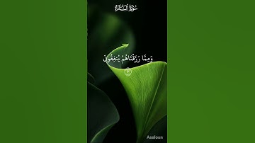 #سورة البقرة#الم ذلك الكتاب لا ريب فيه هدى للمتقين للشيخ ياسر الدوسري #