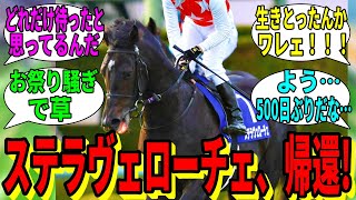 【競馬の反応集】「ステラヴェローチェ、ついに帰還する」に対する視聴者の反応集