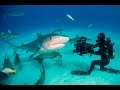 Shark Shooters | Official Trailer [HD] | SZtv