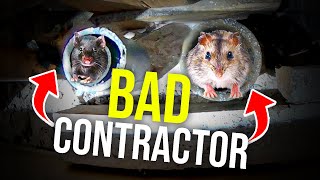 How to get RID of rats FAST......What happens in Vegas gets eRATicated in Vegas!