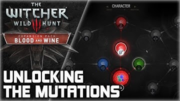 WITCHER 3 Mutations ► How to unlock the new skill tree in Toussaint (Quest Walkthrough)