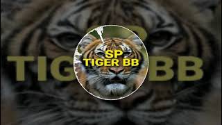 Download Lagu SP.TIGER BB MP3