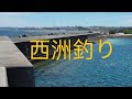 西洲釣り#フカセ釣り #打ち込み釣り #沖縄釣り #釣り #サカナクション