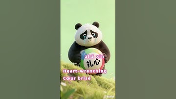 Chinese hot word/Mots à la mode en Chine/中国热词 #panda #留学生汉语语法偏误分析 #funny #汉字之美#hsk