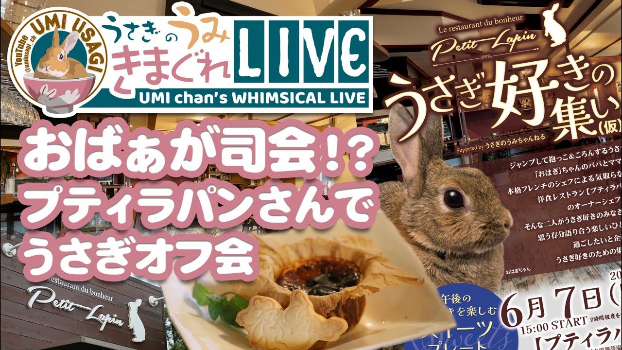 初見さん歓迎】おばぁが司会？うさぎオフ会「うさぎ好きの集い(仮)」in