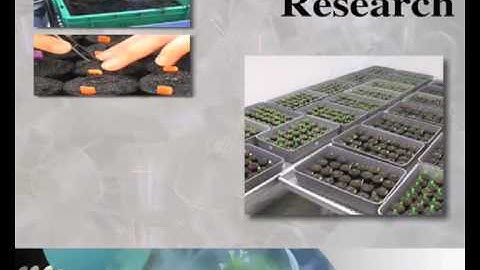 Plant-Microbe Interactions group Utrecht University