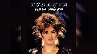 Tüdanya Sen Bir Ömürsün Lp Kapakları