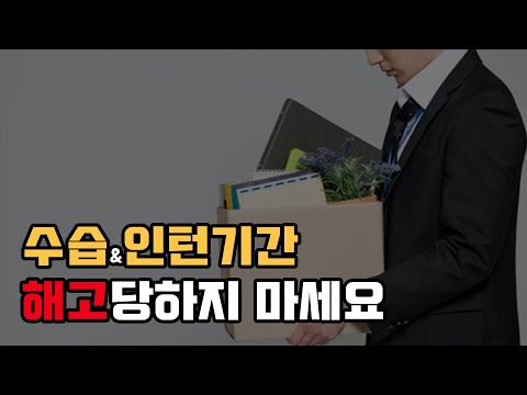 수습기간 인턴기간에 해고가 되나요 채용내정과 시용 