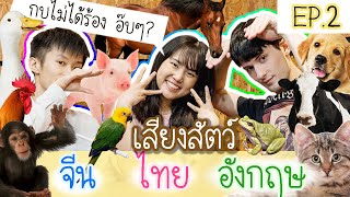 เสียงสัตว์ 3 ภาษา จีน VS ไทย VS อังกฤษ Ep.2 ร้องเหมือนกัน แต่ไม่เหมือนกัน เอ๊ะ? |  PetchZ