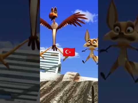Türkiye Azerbaycan dostluğu