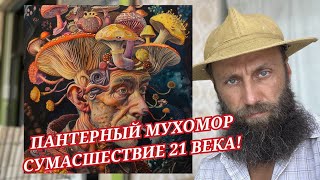 ПАНТЕРНЫЙ МУХОМОР! КАК ПРАВИЛЬНО СБЕЖАТЬ С УМА? ПОЧЕМУ ГОРЕ ОТ УМА?