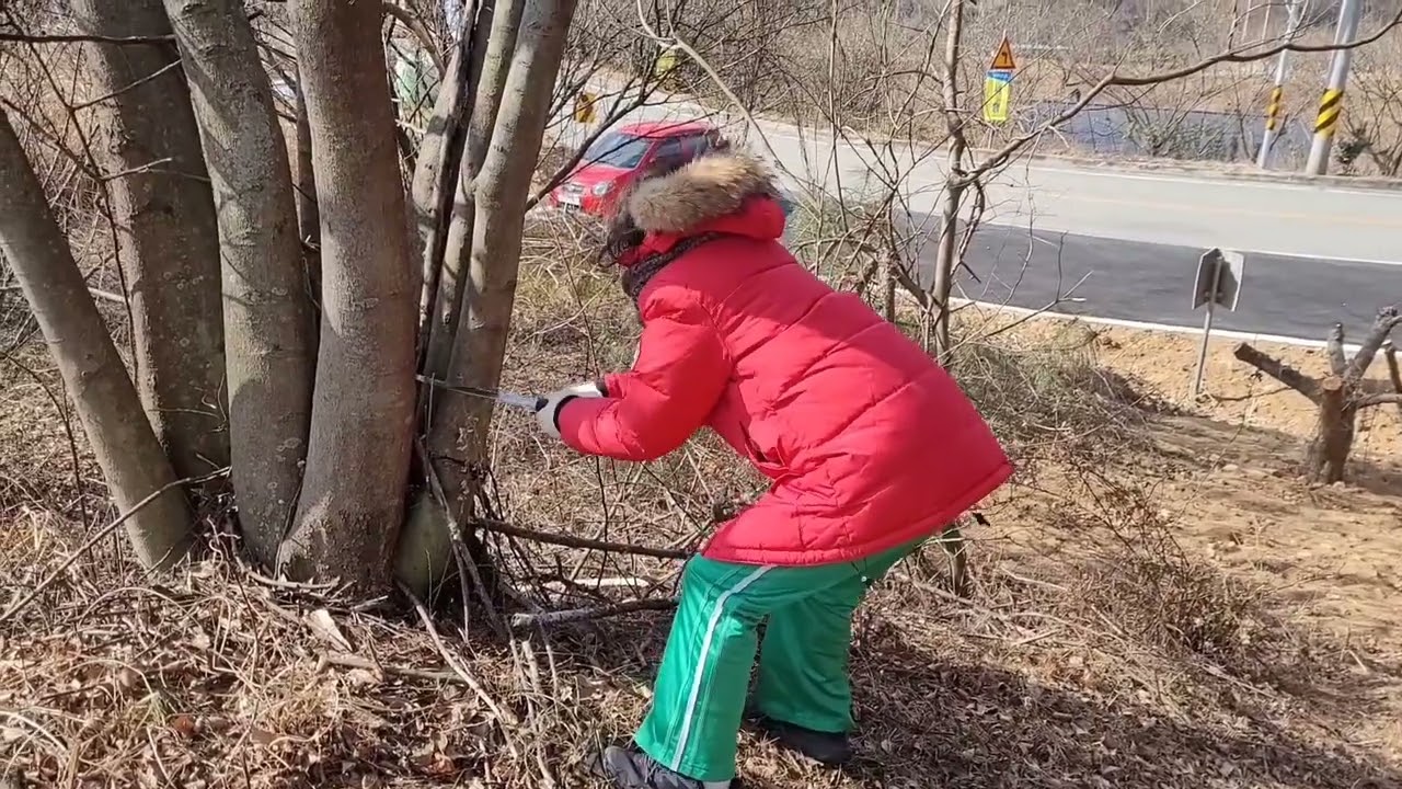 리틀포레스트를 꿈꾸며