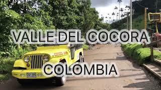 Un Valle de ENCANTO! El Valle de Cócora en Colombia!