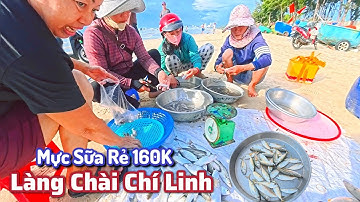 Bãi Tắm Thủy Tiên - Ghẹ Cá Mực Từ Thúng Chai Vào.