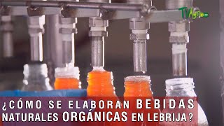 Cómo se elaboran bebidas naturales orgánicas en Lebrija  TvAgro por Juan Gonzalo Angel Restrepo