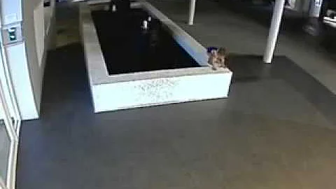 Lazy parents