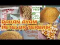 #8 Pakan Ayam Petelur Terbaik (Produsi/Laying)