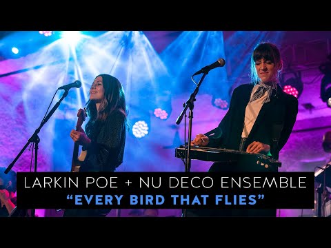 Larkin Poe & @Nu Deco Ensemble - "Every Bird That Flies" (Live In Concert)