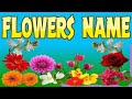 Flowers name in English &amp; hindi/फूलो के नाम हिन्दी मे/Hindi english pathshala /